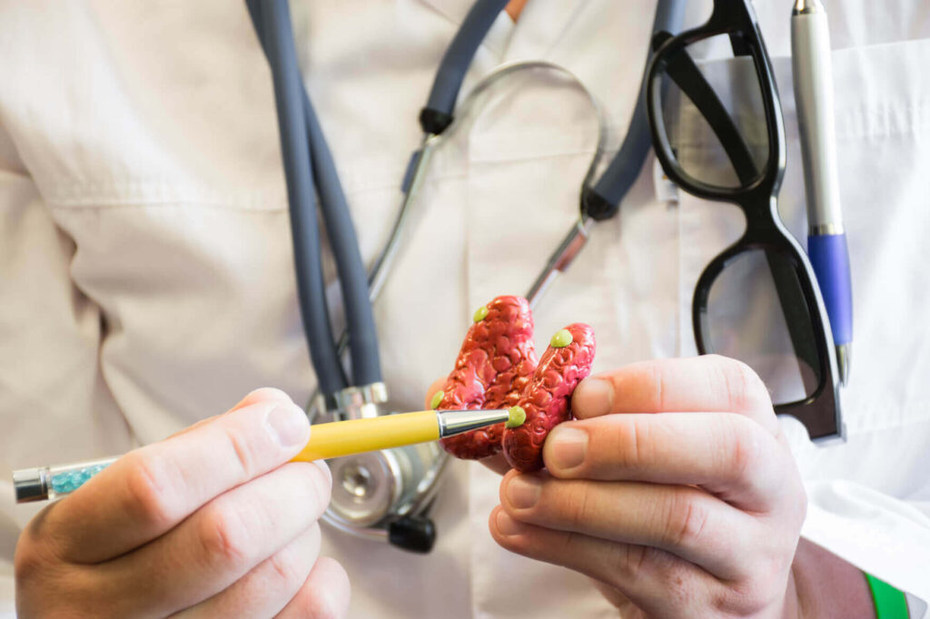 Doctor explaining parts of the thyroid to patient.